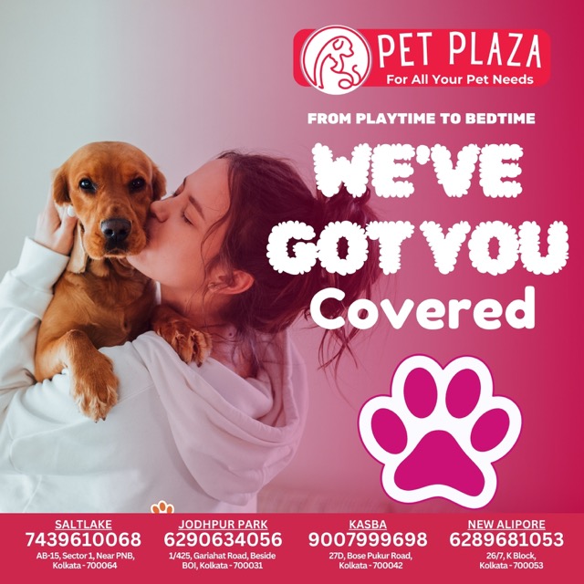 Pet Plaza / September 24 - PET PLAZA_01092024