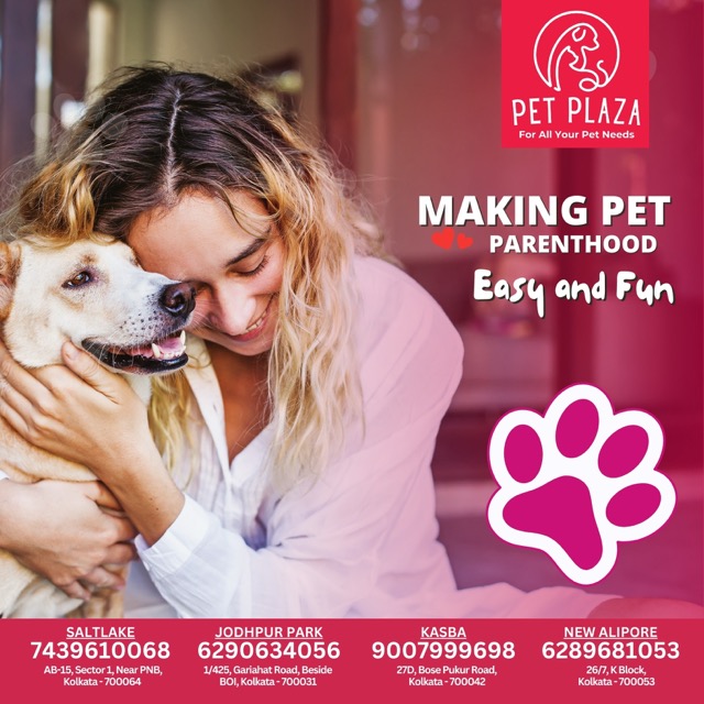 Pet Plaza / September 24 - PET PLAZA_01092024