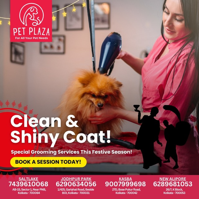 Pet Plaza / October 24 - PetPlaza_08102024