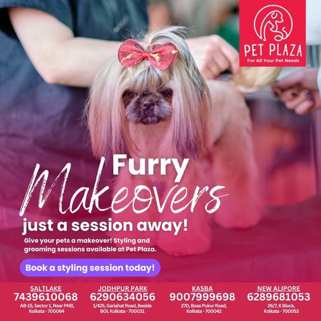 Pet Plaza / November 24 - PetPlaza_24112024
